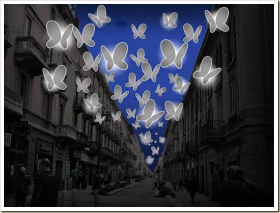 Illuminations papillons-4