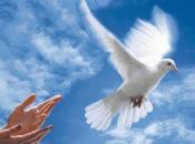 Simplement admiratif devant telle générosité