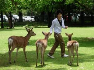 Une escapade à Nara
