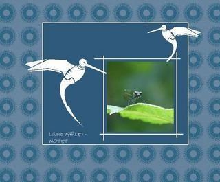 Un vrai bijou: vrai bijou: