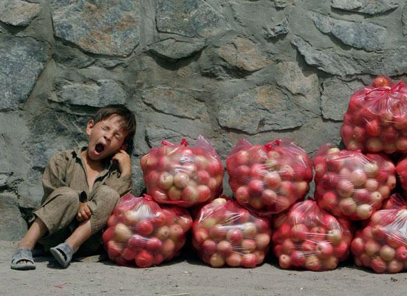 Achetez mes pommes (Henri Druart)