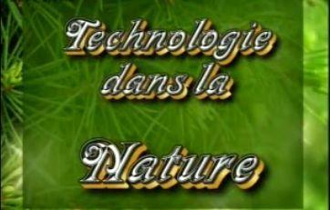 La technologie dans la nature : Les dauphins | Documentaire