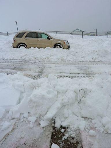 Sablés pur beurre salé bio pour dire merci