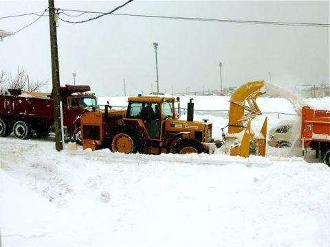Sablés pur beurre salé bio pour dire merci