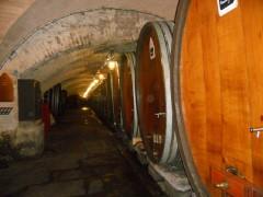 vin, hospices de strasbourg, vieux, plus vieux vin du monde, tonneau, strasbourg, hôpital civil