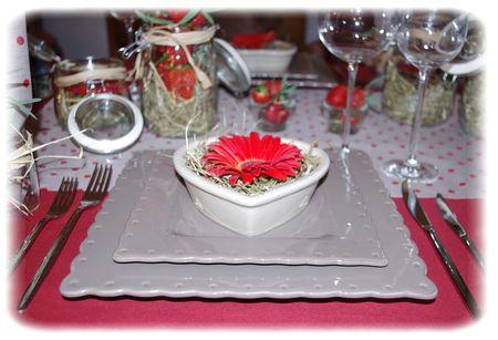 table_rouge_029