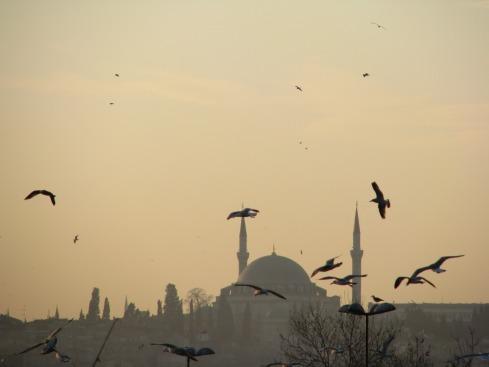 Istanbul la magnifique