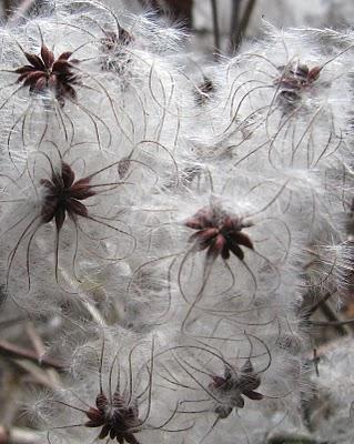 Une journée à la campagne