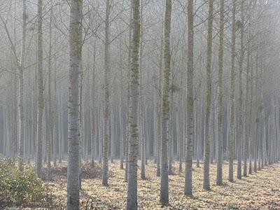 Une journée à la campagne