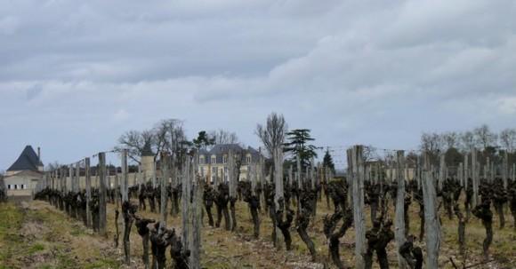 20110204 P1080703 580x303 Le Saprien