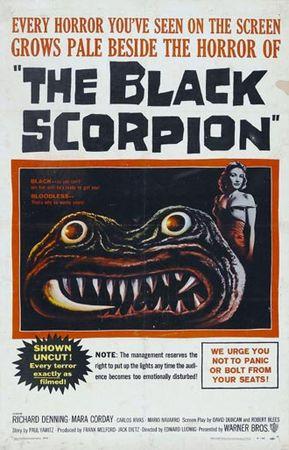 scorpion_noir