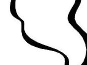 Lavrilleux fantôme Conseil Général l'Aisne