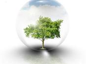 transparence, concept nécessité marketing