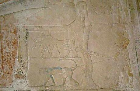 Singe et canidés - Mastaba de Ptahhotep