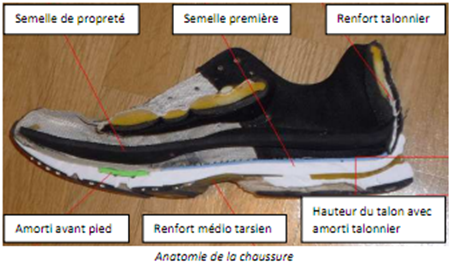 Anatomie de la chaussure Anatomie de la chaussure