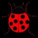 coccinelle_pt-3.gif