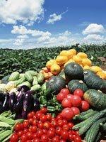 Fruits et légumes : leurs bienfaits naturels pour être belle