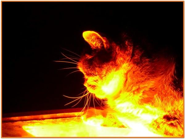 La chaleur du Colisée