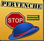 pervenche