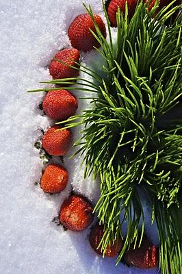 Mes 10 coups de coeur