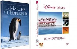 [Concours] Pollen: Des DVD et des places de ciné à gagner!