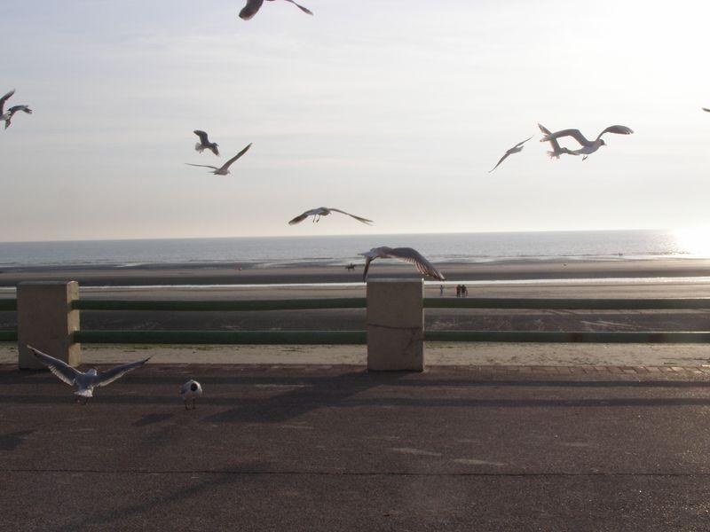 Chanson muette (Gaëtanne Drouin Salmon)