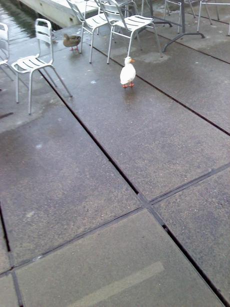 Fin de Romance en 13 épisodes