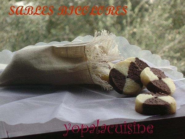 Diapositive5-copie-1