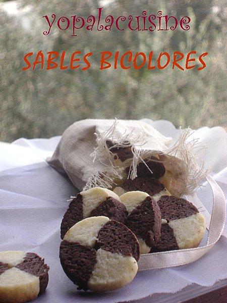 Diapositive4-copie-5