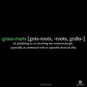 Grassroots_Ad-500x500.jpg