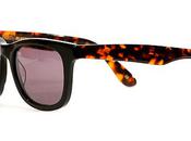 Blackbird sunglasses