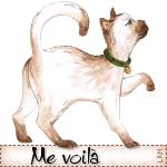 Pris en flagrant délit... le 22 février 2011