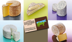 Agriculture : les fromages d’Auvergne