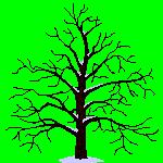 Tous cyclistes, tous mathématiciens