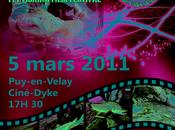 RISE film festival VELAY