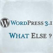 WordPress 3.1