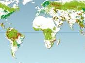 Etat forêts dans monde