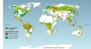 Etat des forêts dans le monde