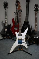 Bibliothéconomie furtive