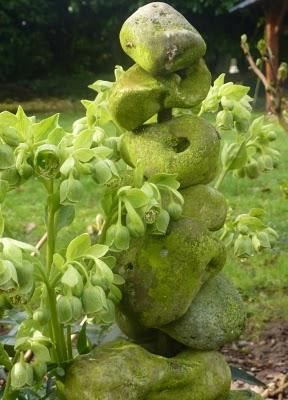 ...Le jardin progresse , les premières jonquilles sont là...