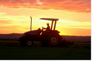 Nouvel agrocarburant !