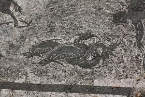 ostia antica 6 Deux dauphins en mosaïque