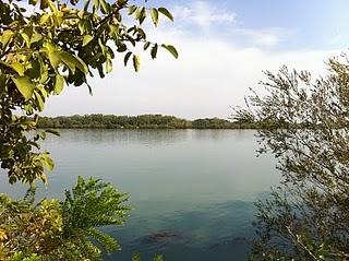 D'autres priorités...