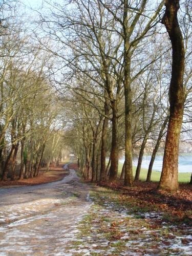 Serge ULESKI Sonate d'automne.JPG