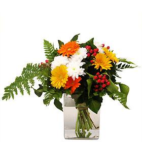 Interflora-aurillac-2