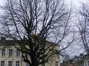 L'éclairage public modernise.