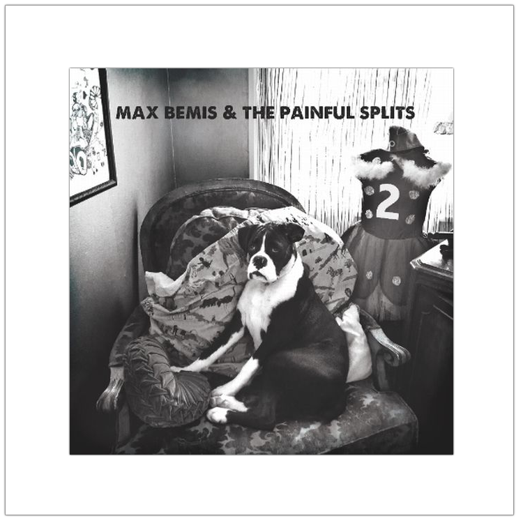 Max Bemis The Painful Splits 2 Max Bemis And The Painful Splits