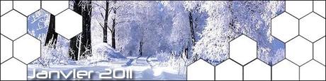 Janvier 2011
