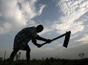 grande désillusion microfinance