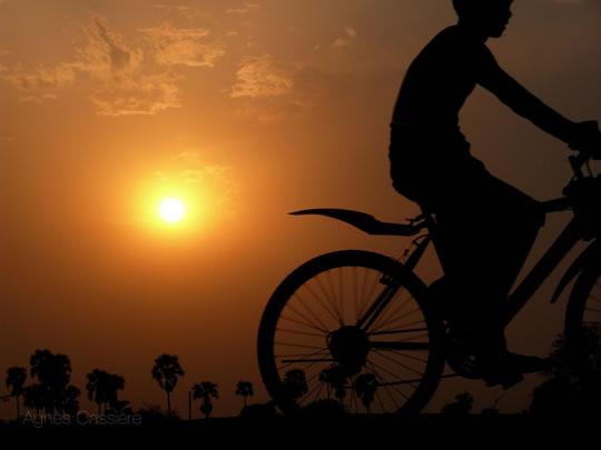 Sélection Darqroom Pixfan #9